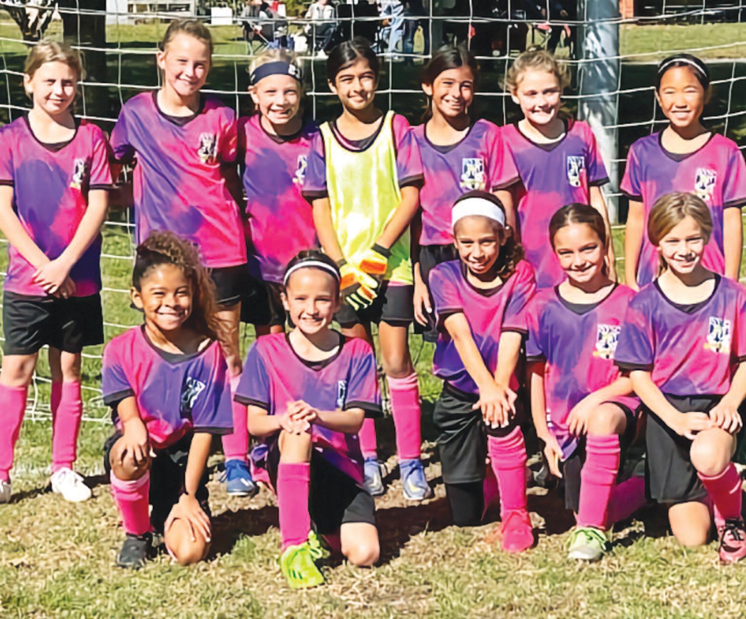 7 Expert Secrets to Mastering NVSC Field Status: Your Ultimate Guide for Reliable Sports Scheduling