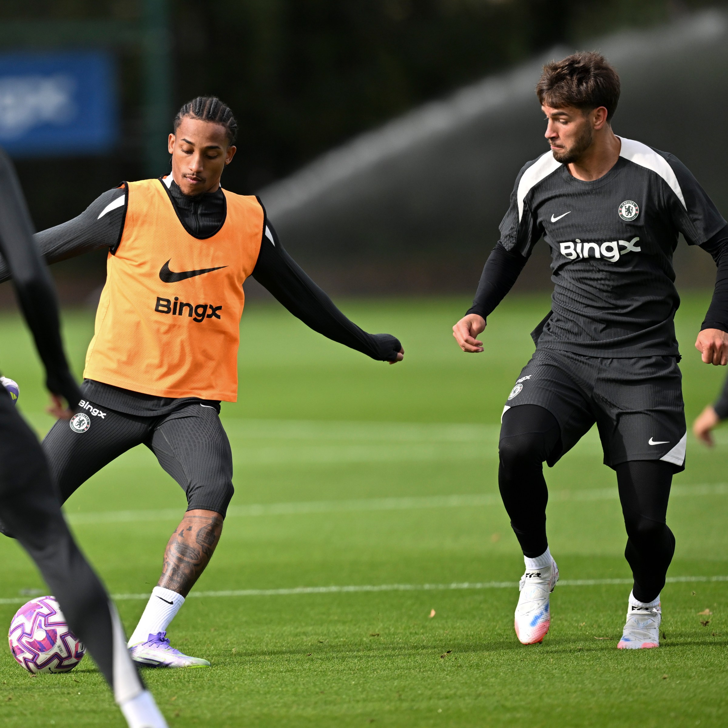 7 Expert Secrets About Alineaciones de Brighton & Hove Albion Football Club Contra Chelsea: Your Ultimate Tactical Guide