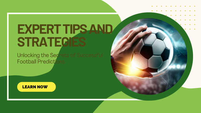 10 Expert Secrets to Choosing the Best Football Analysis Program for Winning Results