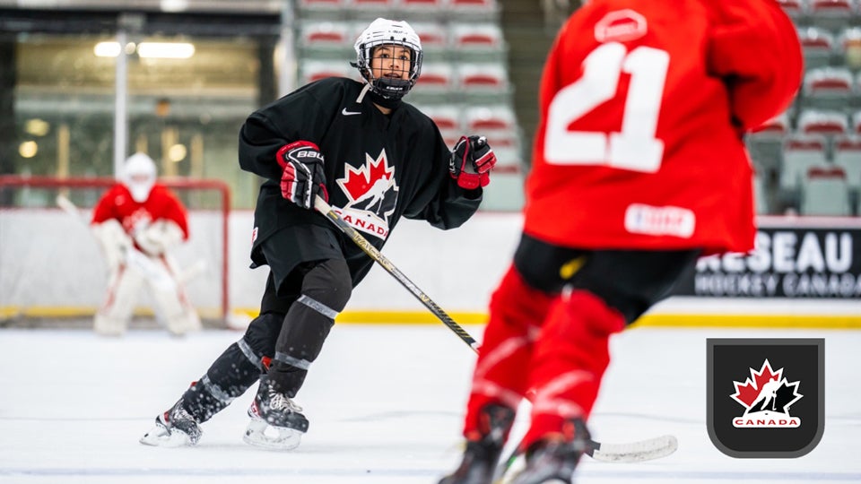 7 Expert Secrets to Choosing the Best Hockey Software for Your Team’s Success