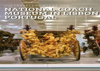 Portugal National Team Coach: The Architect Behind the Seleção’s Renaissance