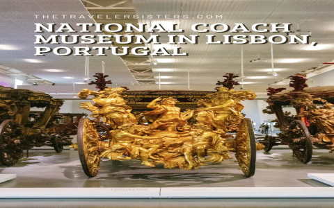 Portugal National Team Coach: The Architect Behind the Seleção’s Renaissance