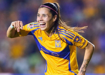 7 Expert Insights Into Brazil National Football Team vs Ecuador National Football Team Lineups: Must-Know Strategies, Data & Analysis