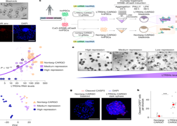 When Did the 3 Pointer Start? The Surprising History and Expert Insights Revealed