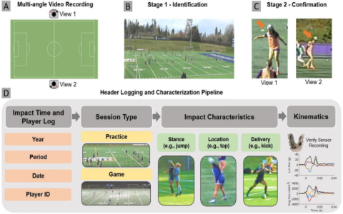 7 Expert-Approved Free Sports Video Analysis Software Solutions to Boost Performance in 2024