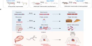 7 Expert Secrets to Unlocking Powerful Insights with Video Analyzer Tools