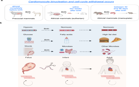 7 Expert Secrets to Unlocking Powerful Insights with Video Analyzer Tools