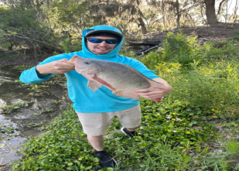 7 Expert Secrets for Maximizing Webster Groves Moss Field: The Ultimate Guide