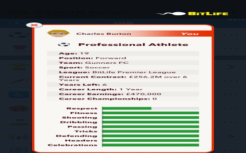 10 Must-Know Secrets to Choosing Basketball Software That Transforms Your Game