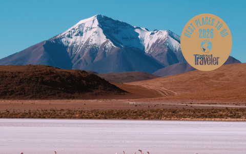 7 Expert Secrets For Colombia National Football Team vs Chile National Football Team Lineups: The Ultimate Comparison & Guide