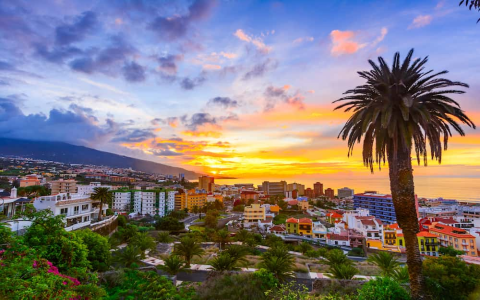 10 Ultimate Secrets to Enjoy Camera Live Tenerife for Stunning Island Views
