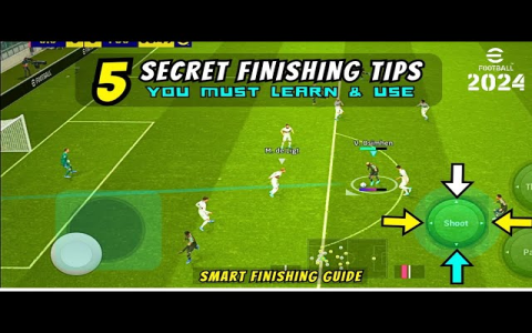 10 Expert Tips for Choosing the Ultimate Sports Board: Your Must-Have Guide for 2024