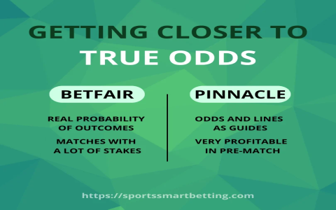 7 Expert Soccer Game Analysis Techniques That Will Transform Your Match Predictions