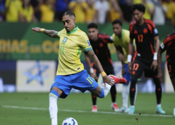 7 Expert Insights on Argentina National Football Team vs Brazil National Football Team Standings: The Ultimate Guide for Football Fans