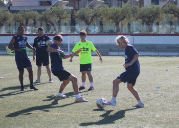 7 Expert-Approved TacticalPad Alternative Solutions: The Ultimate Guide to Modern Football Tactics Tools