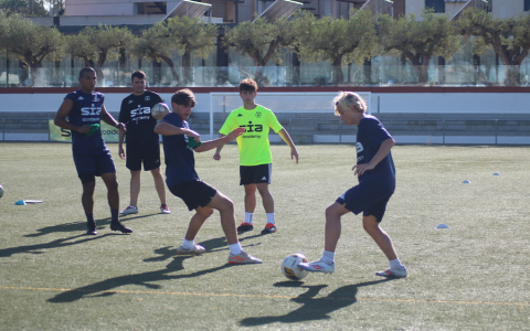 7 Expert-Approved TacticalPad Alternative Solutions: The Ultimate Guide to Modern Football Tactics Tools