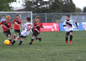 7 Expert Strategies to Master Sportabase Logon for Seamless Sports Management