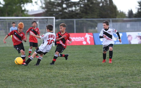 7 Expert Strategies to Master Sportabase Logon for Seamless Sports Management