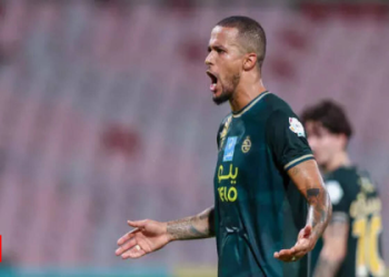 7 Expert Insights and Must-Know Tips for Hamburg Football Teams Fans