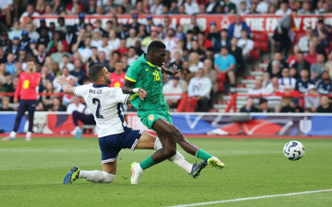 7 Surprising Insights into England National Football Team vs Senegal National Football Team Lineups: The Ultimate Expert Breakdown